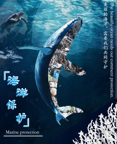 海洋保护，刻不容缓
