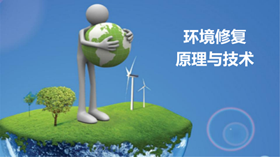 环境修复原理与技术