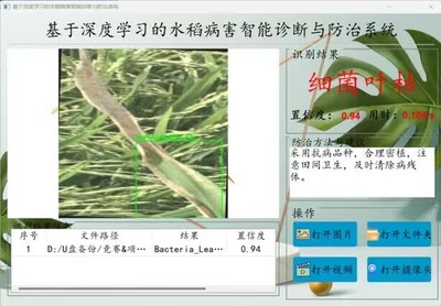 基于深度学习的水稻病害智能诊断与防治系统