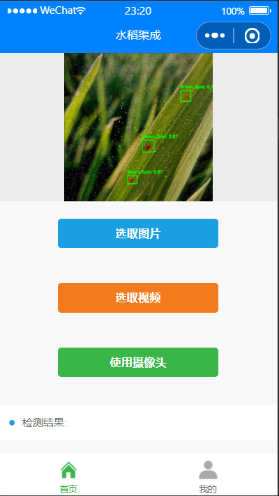 “水稻渠成”水稻病害智能诊断与防治小程序
