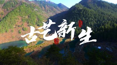 古艺新生 生生不息