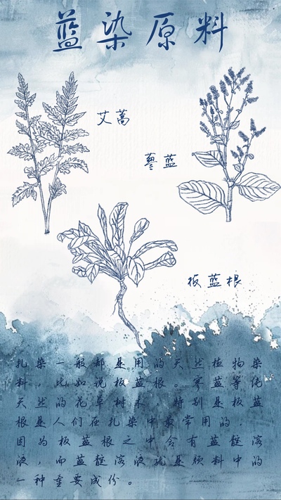 蓝韵千秋