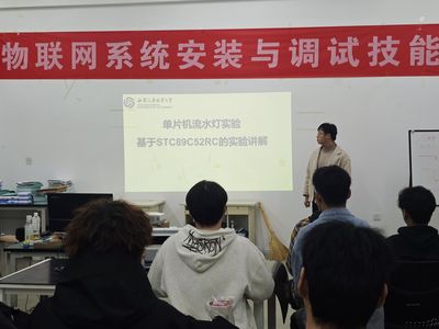 单片机技术实验实训