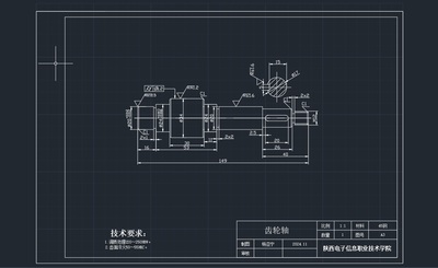 齿轮轴