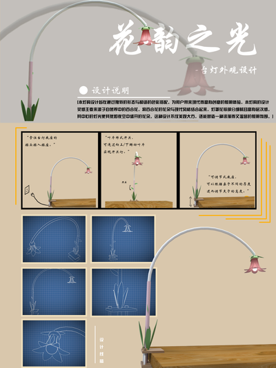 花韵之光