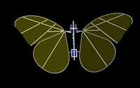 仿生蝴蝶侦察器