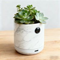 家庭安全行为监测装置