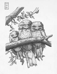 庇护所：给所有飞翔的灵魂