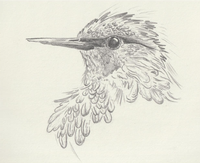 莫惊了鸟儿，莫折了花